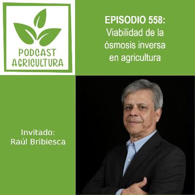 558 Viabilidad de la ósmosis inversa en agricultura con Raúl Bribiesca 558 Viabilidad de la ósmosis inversa en agricultura con Raúl Bribiesca