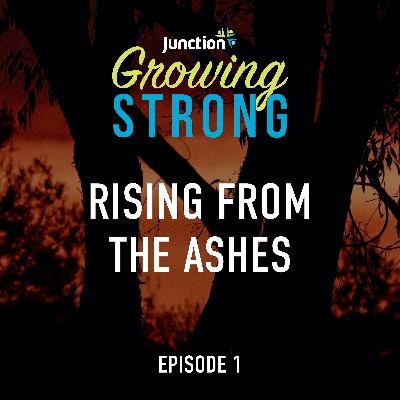 Rising from the ashes