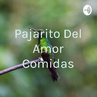 Pajarito del amor comidas