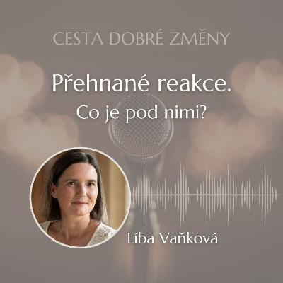 Přehnané reakce - co je pod nimi? - Líba Vaňková