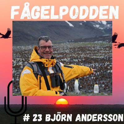 Björn Andersson