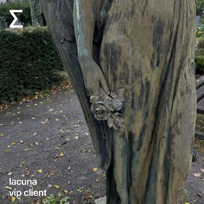 lacuna – vip client lacuna – vip client