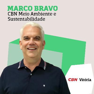 Transição energética e bioeconomia: o que de prático saiu da COP30? Transição energética e bioeconomia: o que de prático saiu da COP30?