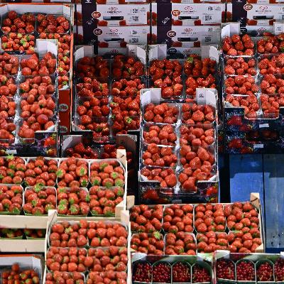 ‘What to Eat Now’ And Navigating Healthy Foods ‘What to Eat Now’ And Navigating Healthy Foods