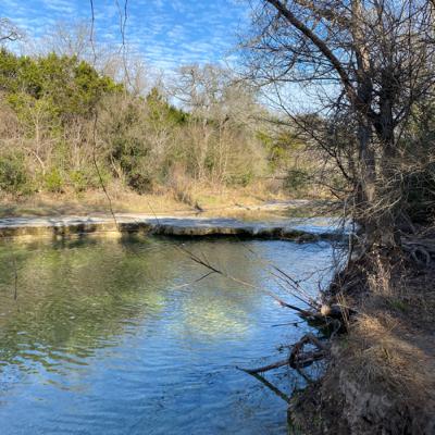 Bull Creek - Jan 27, 2022