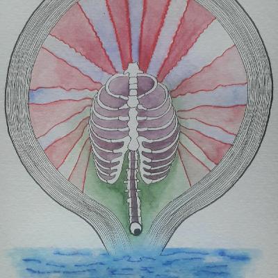 #219. Life in Suspension | Hélène Cardona