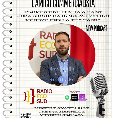 L'amico commercialista 26 puntata