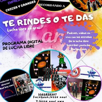 Fundación Vida sana Fundación Vida sana