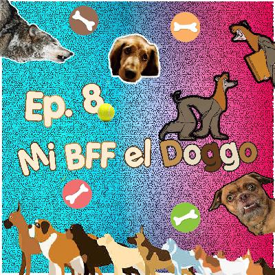 Mi BFF el Doggo