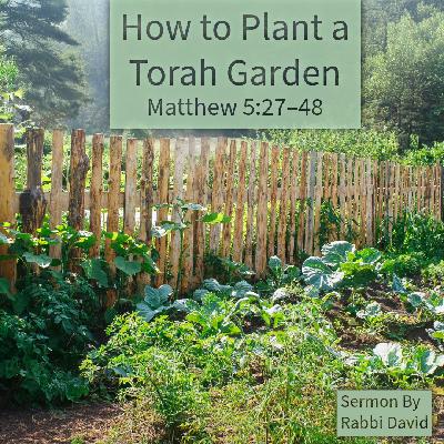 How to Plant a Torah Garden | Rabbi David How to Plant a Torah Garden | Rabbi David