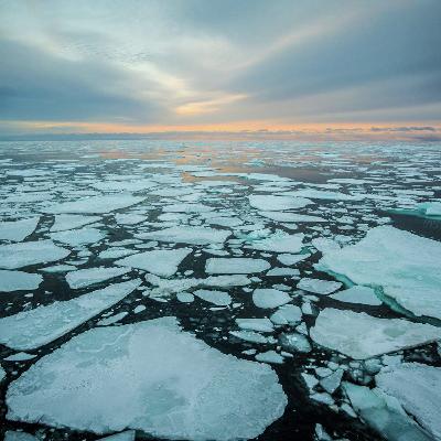 VAN POOL TOT POOL: ARKTIESE EN ANTARKTIESE SEE-YS deur Martelize Brink