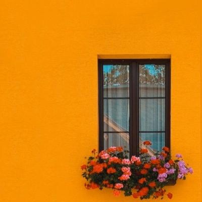 سیندی درونمون...
