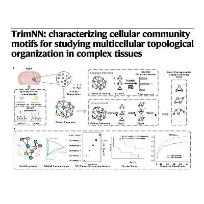 106-TrimNN：细胞群落拓扑组织分析框架