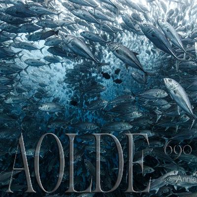 AOLDE#690-14-02-26 - ESPECIAL LUFF