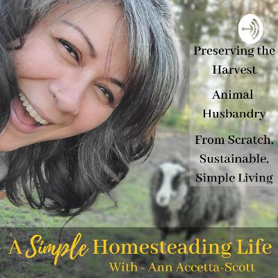 Episode 4 | The Modern Homesteading Homemaker