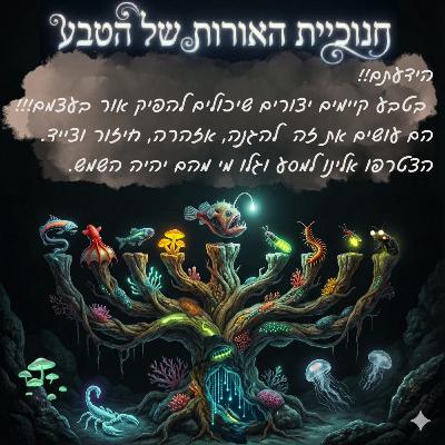 חנוכיית האורות של הטבע