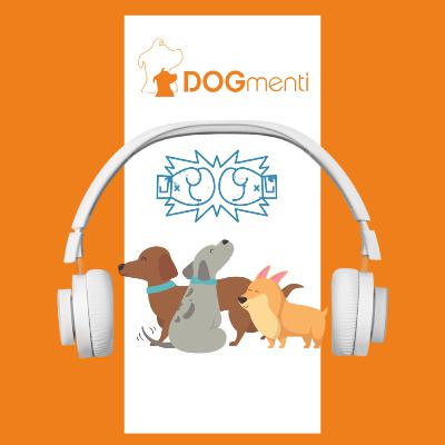 Raufergruppen - unsere Gedanken dazu. Raufergruppen - unsere Gedanken dazu.