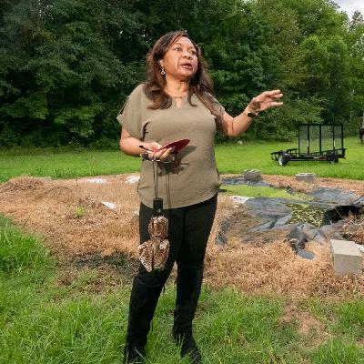 Why Trump Deemed Basic Sanitation Illegal DEI