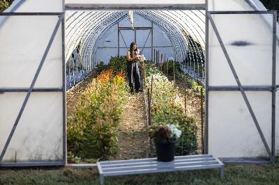 Farming among the trees: How perennial crops can help breathe life into depleted soil