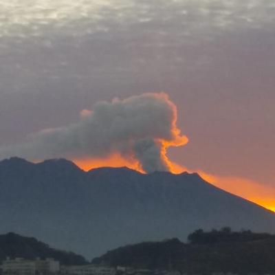 2-12.睡眠障害の改善 2-12.睡眠障害の改善