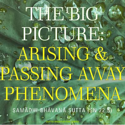 UPOSATHA — The Big Picture: arising and passing away phenomena (livestream)