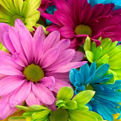 Into Full Bloom Into Full Bloom