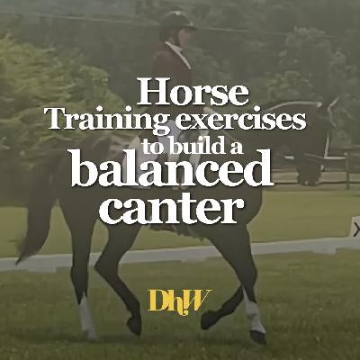 BONUS: Free Guided Ride Series with Laine Ashker — Horse Training Exercises to Build a Balanced Canter