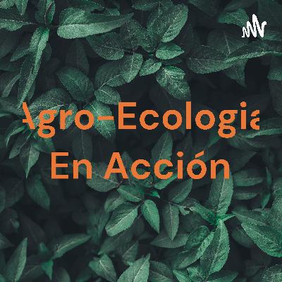 Agro-Ecologia en acción. Tema: El Medio Ambiente