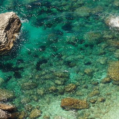 29 🇫🇷 在南法 上山下海 城市漫游 法国人的松弛感名不虚传 29 🇫🇷 在南法 上山下海 城市漫游 法国人的松弛感名不虚传