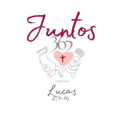 25 de Diciembre. Un pesebre llamado hogar