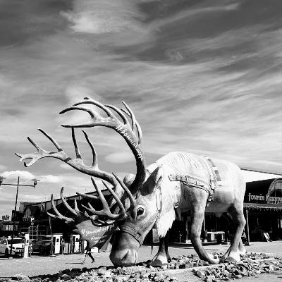 Laponia #10,11,12 | O tym że czasem jest ciężko, a potem...