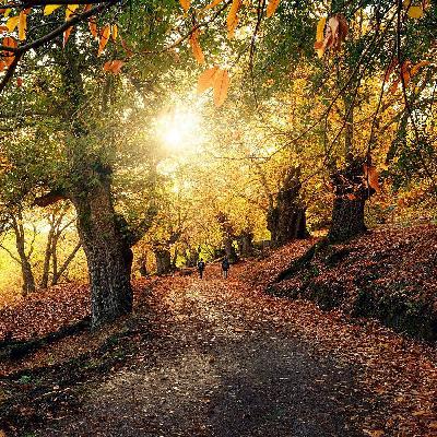 Música a la carta - Un día de otoño - 08/10/25