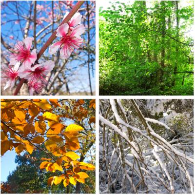 74. Jahreszeiten 74. Jahreszeiten