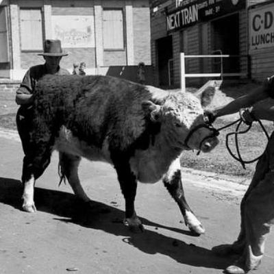 S8 Ep351: SEGMENT 13: MERCOSUR DEAL UNPOPULAR AFTER 27 YEARS Guest: Simon Constable Constable reports from the Pyrenees foothills on European discontent with the Mercosur trade agreement finally concluded after 27 years of negotiations. Discussion covers farmer pro S8 Ep351: SEGMENT 13: MERCOSUR DEAL UNPOPULAR AFTER 27 YEARS Guest: Simon Constable Constable reports from the Pyrenees foothills on European discontent with the Mercosur trade agreement finally concluded after 27 years of negotiations. Discussion covers farmer pro