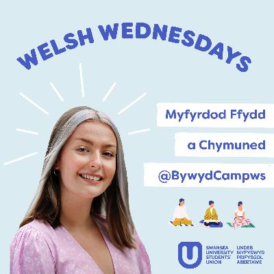 Myfyrdod