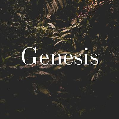 Genesis 30—The Blessed Fruit of the LORD