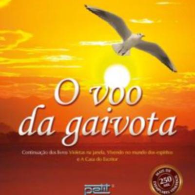 O Voo da Gaivota - Áudio 11 O Voo da Gaivota - Áudio 11