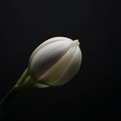 Empowering the Workforce: AI and Human Potential|