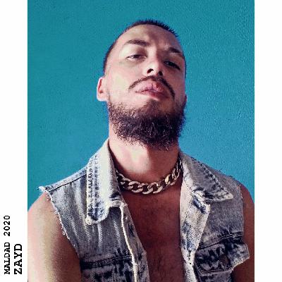 La Maldad - Zayd (Audio)