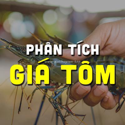 PHÂN TÍCH BIẾN ĐỘNG GIÁ TÔM MIỀN TÂY 30/9/2025 #PODCAST #GIATHUYSAN #GIATOM #ĐBSCL #THUYSANTV