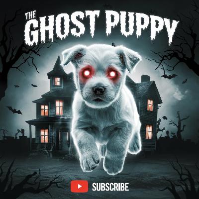 The Gosht Puppy