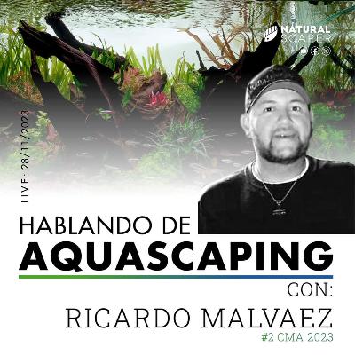 Hablando de Aquascaping T1 Ep3