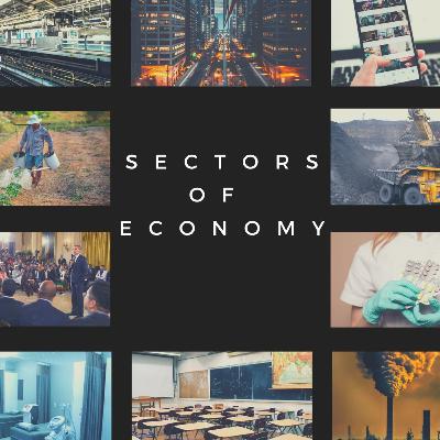 Economics: Sectors of Economy (Episode 3)
