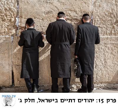 פרק 15: יהודים דתיים בישראל, חלק ג פרק 15: יהודים דתיים בישראל, חלק ג