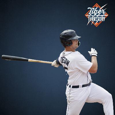 Max Anderson Joins Tiger Territory