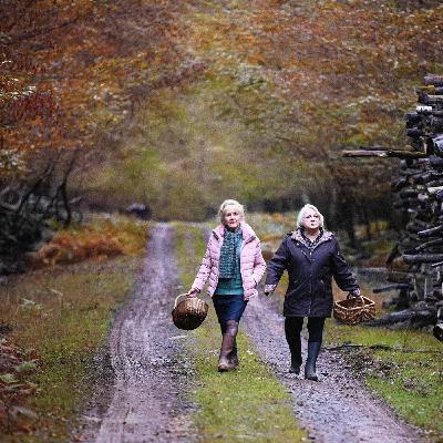 Subculture Film Reviews - WHEN FALL IS COMING (Central Coast Radio)