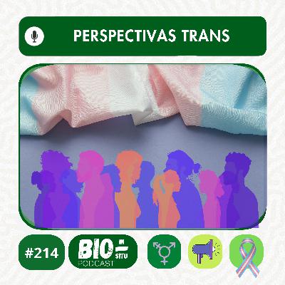 214 - Perspectivas trans