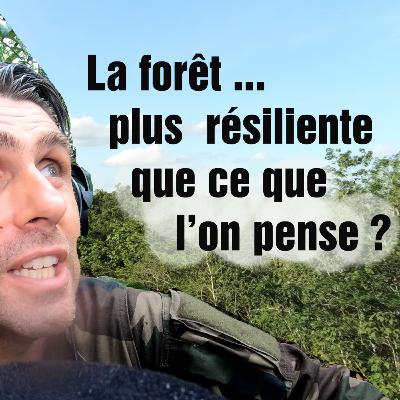 [Ep11] La jungle peut-elle repousser à l'identique ?