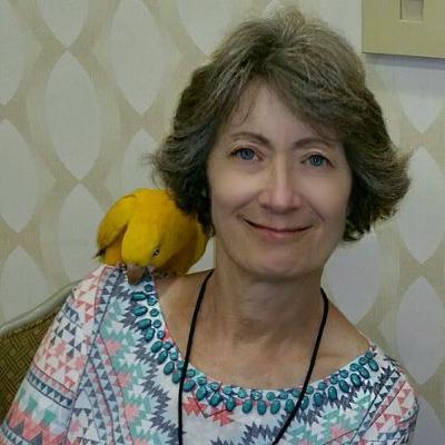Time to free the golden parakeet Time to free the golden parakeet