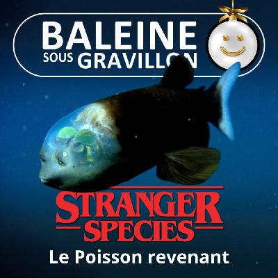 STRANGER SPECIES 2/12 : Le Poisson revenant, "t'as d'étranges yeux tu sais..."